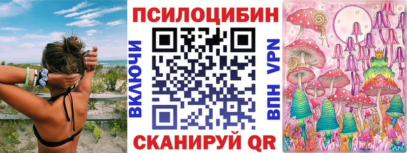 Псилоцибиновые грибы Psilocybe Змеиногорск